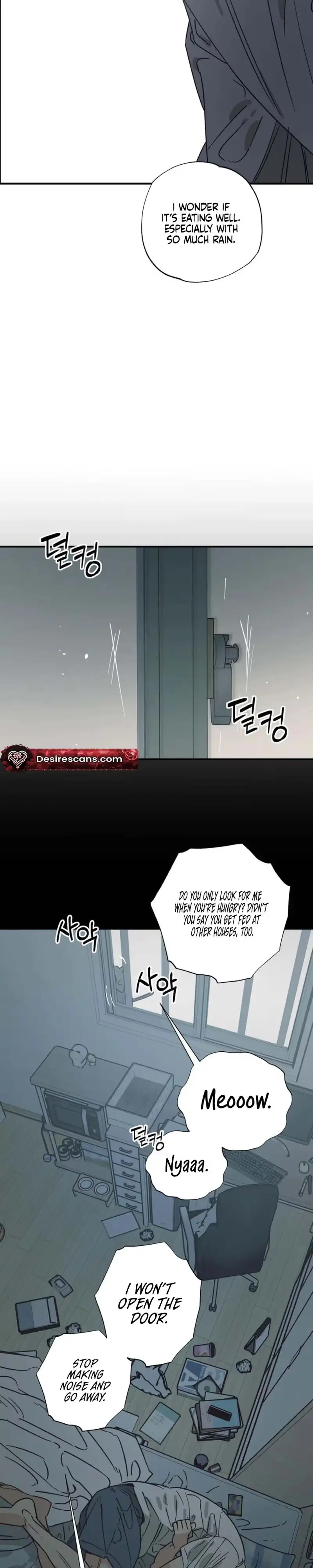 Read Purrfect Choice chapter 23 image 11 on Lezhin