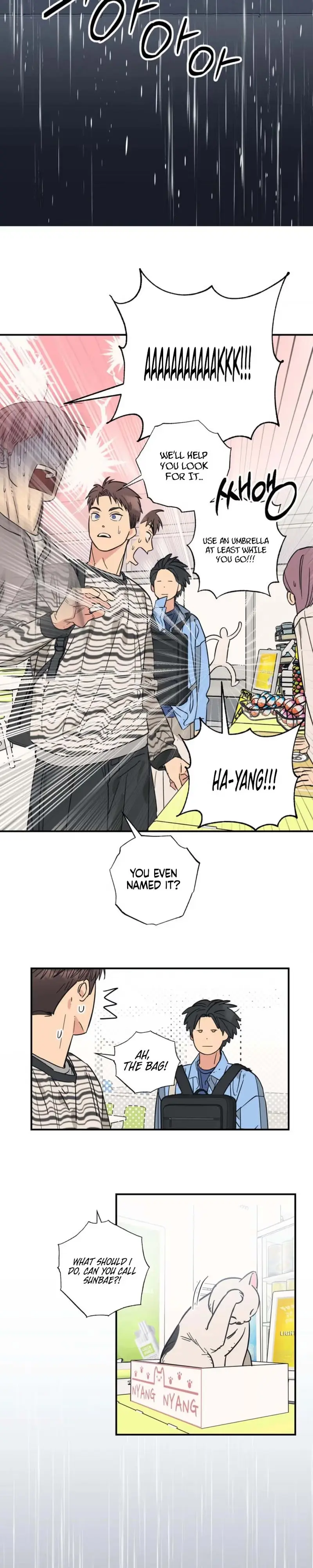 Read Purrfect Choice chapter 23 image 14 on Lezhin