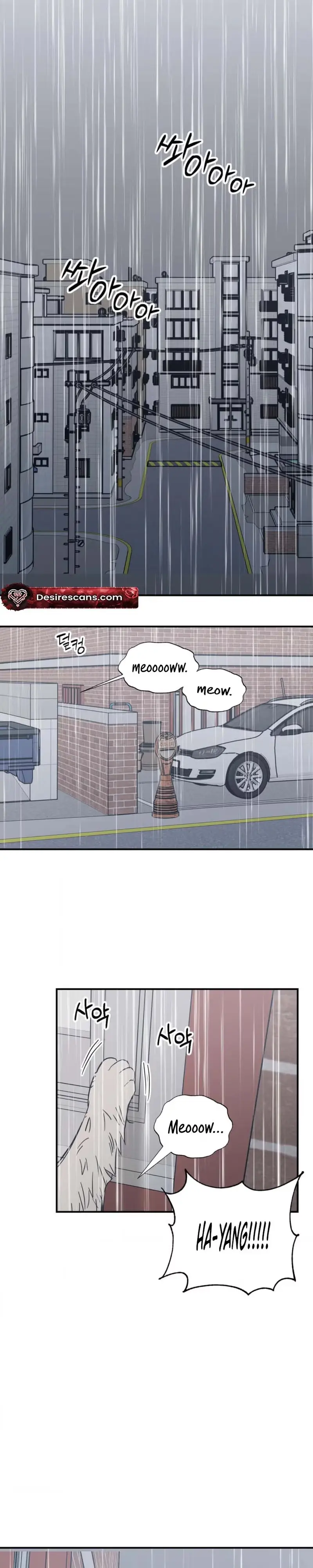 Read Purrfect Choice chapter 23 image 15 on Lezhin
