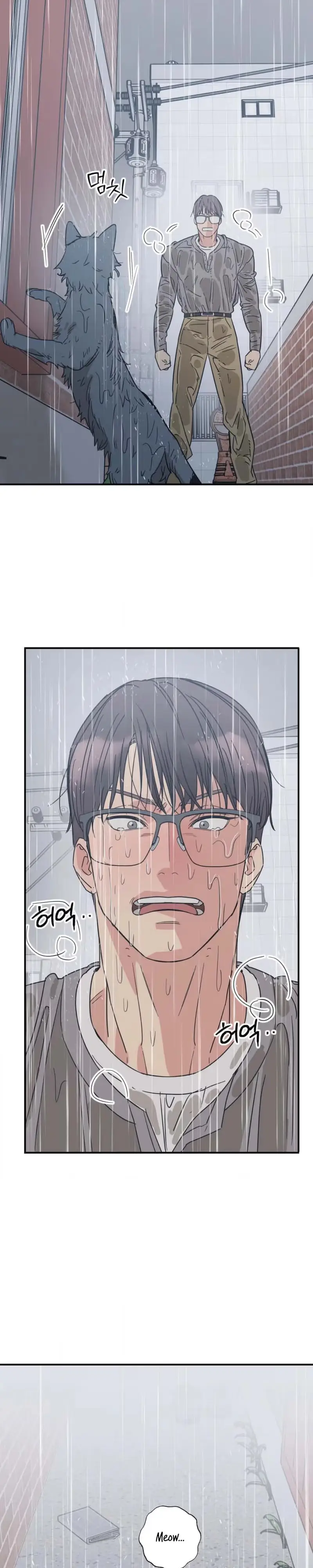 Read Purrfect Choice chapter 23 image 16 on Lezhin