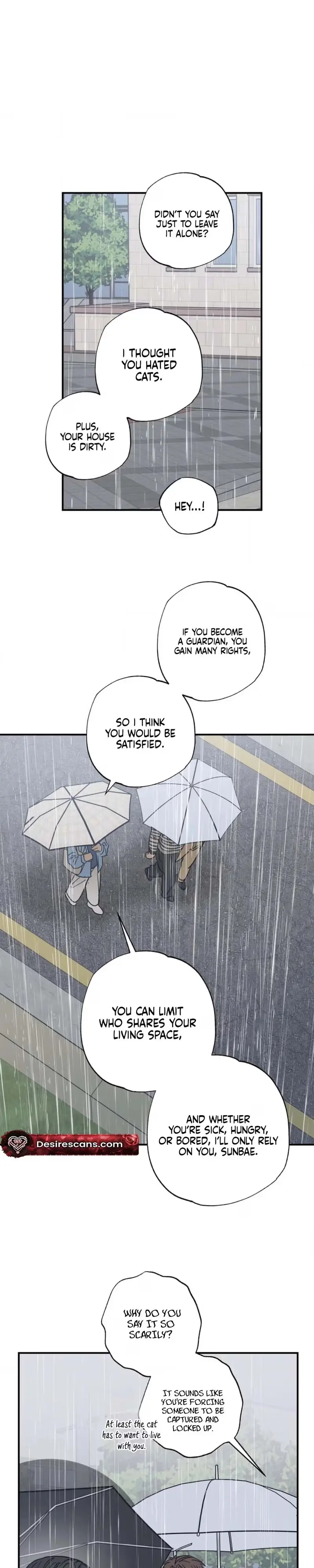 Read Purrfect Choice chapter 23 image 5 on Lezhin