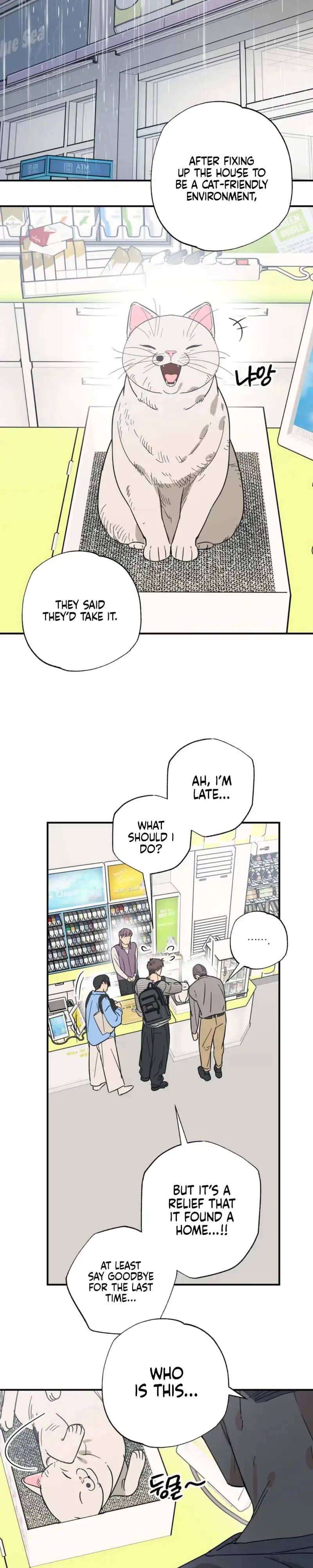 Read Purrfect Choice chapter 23 image 8 on Lezhin