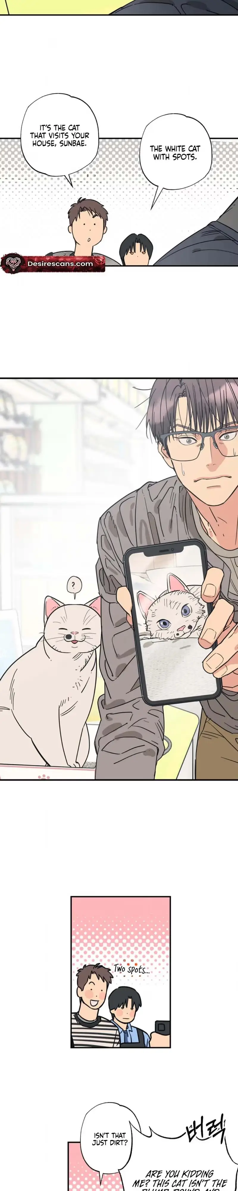 Read Purrfect Choice chapter 23 image 9 on Lezhin
