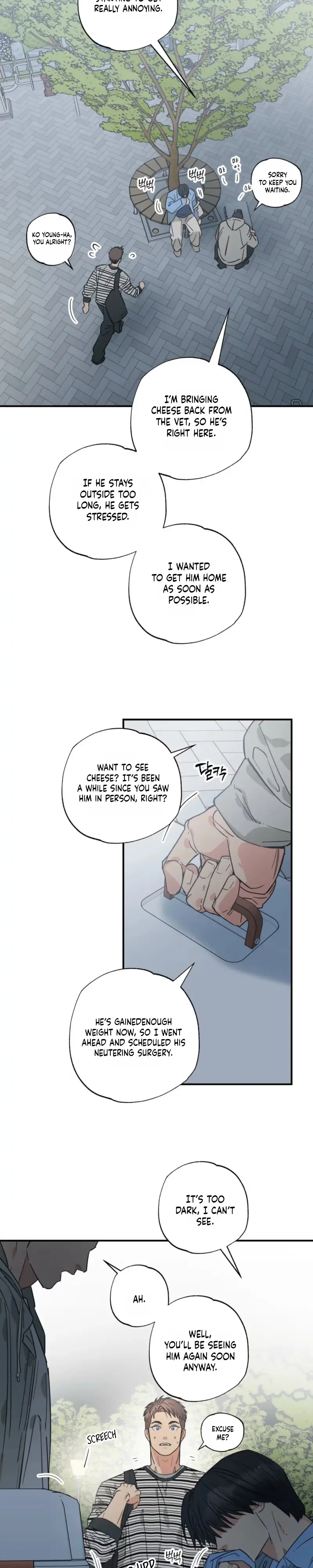 Read Purrfect Choice chapter 25 image 2 on Lezhin