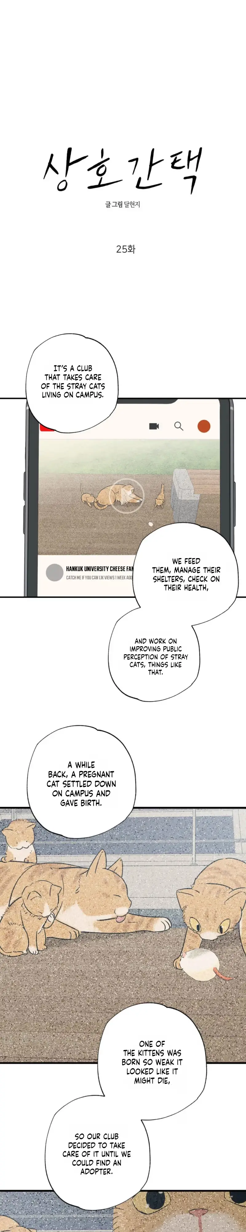 Read Purrfect Choice chapter 25 image 6 on Lezhin