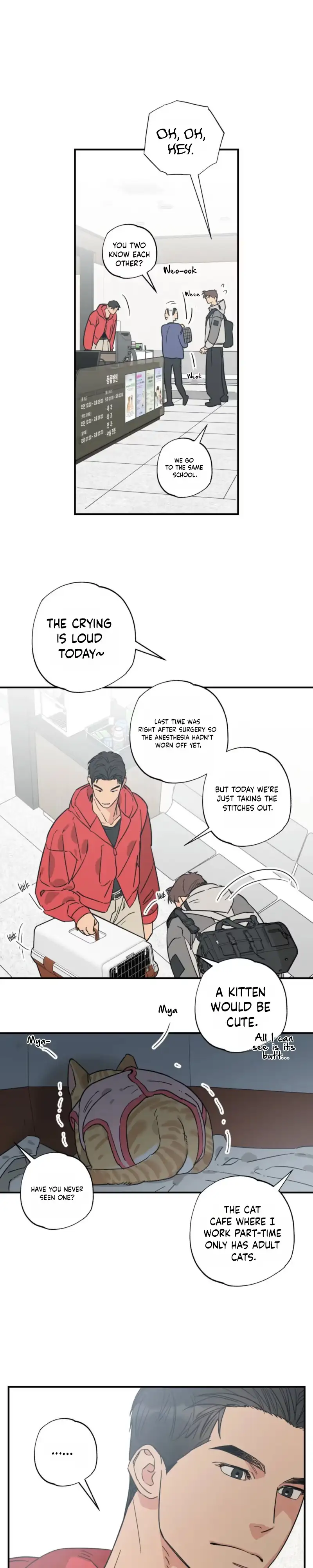 Read Purrfect Choice chapter 29 image 17 on Lezhin