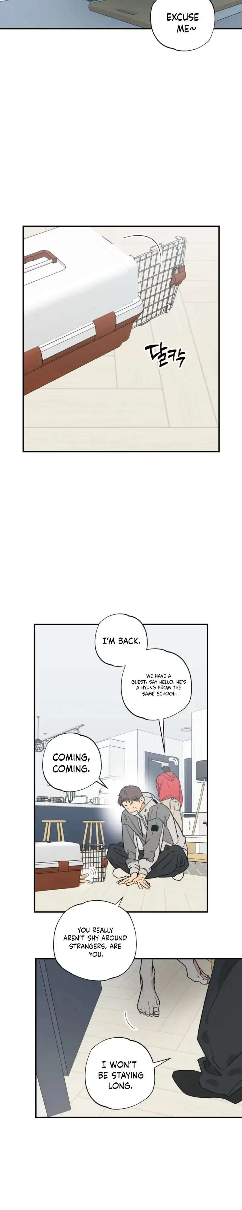 Read Purrfect Choice chapter 29 image 20 on Lezhin