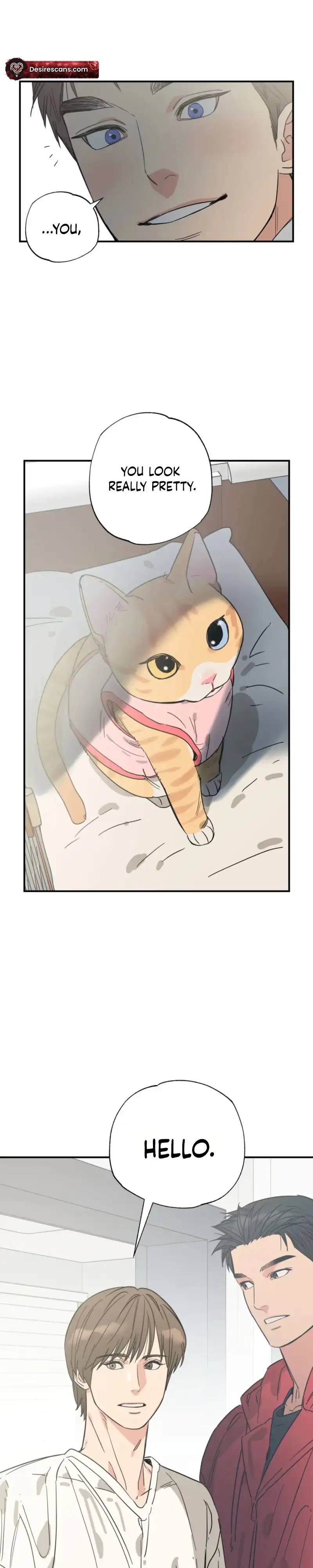 Read Purrfect Choice chapter 29 image 21 on Lezhin