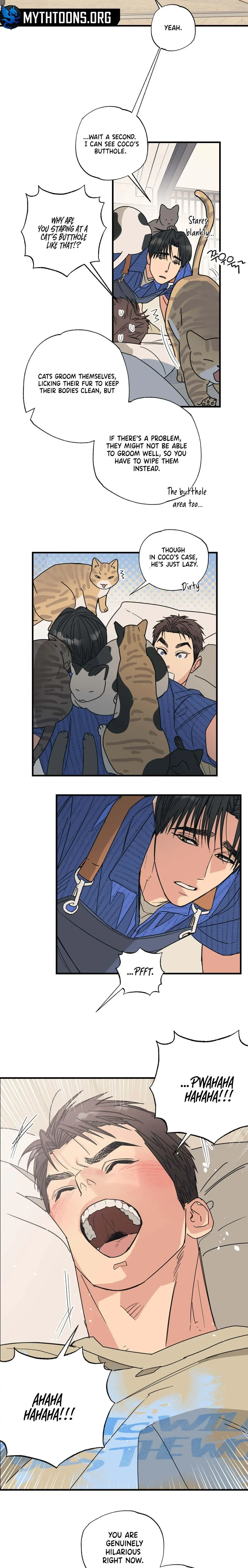 Purrfect Choice Chapter 3 page 13 - 