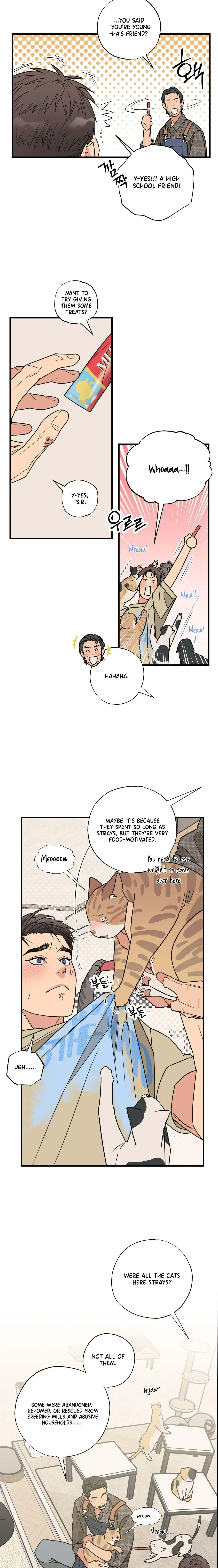 Purrfect Choice Chapter 3 page 7 - 