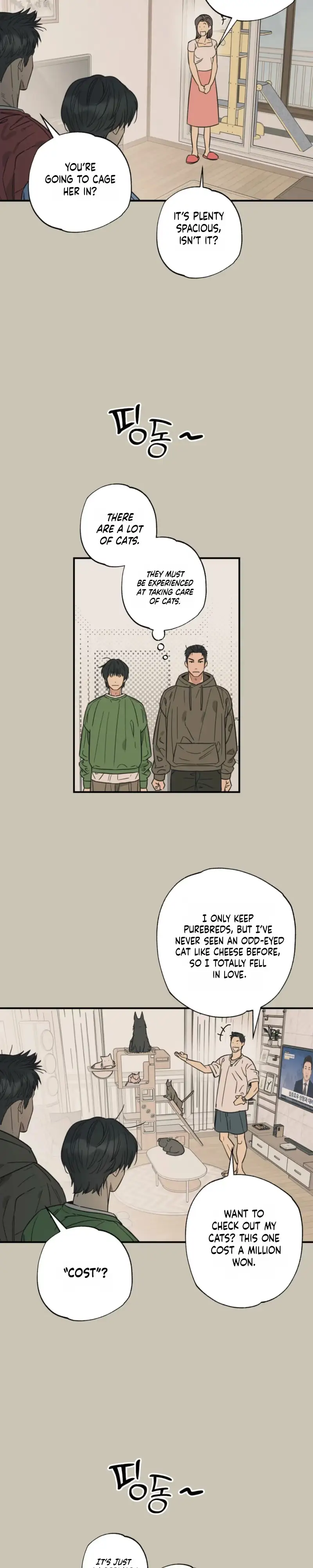 Purrfect Choice Chapter 31 page 10 - 