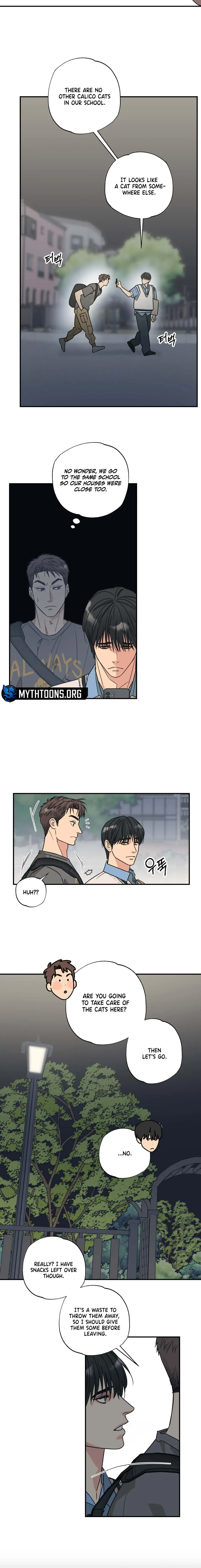 Read Purrfect Choice chapter 5 image 4 on Lezhin