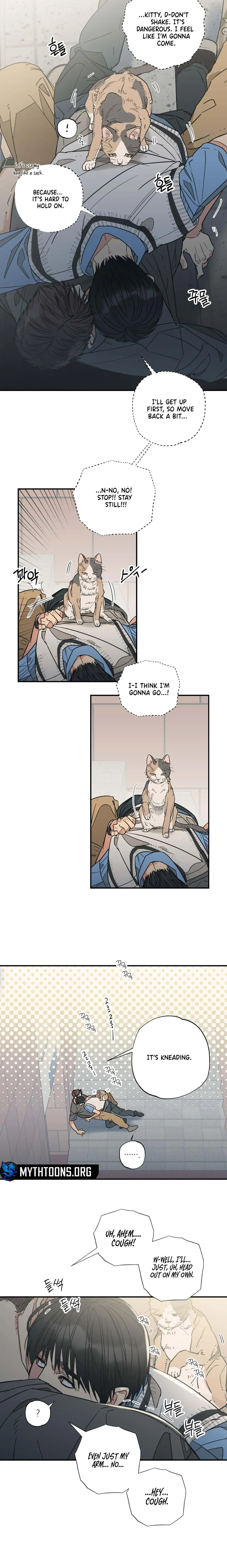 Read Purrfect Choice chapter 7 image 6 on Lezhin