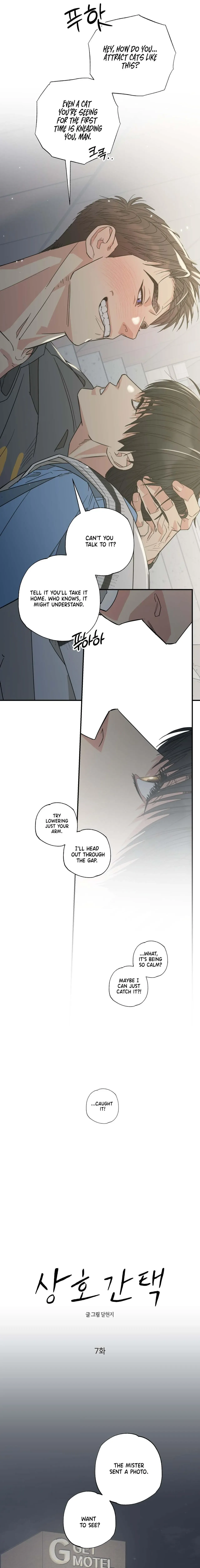 Read Purrfect Choice chapter 7 image 7 on Lezhin