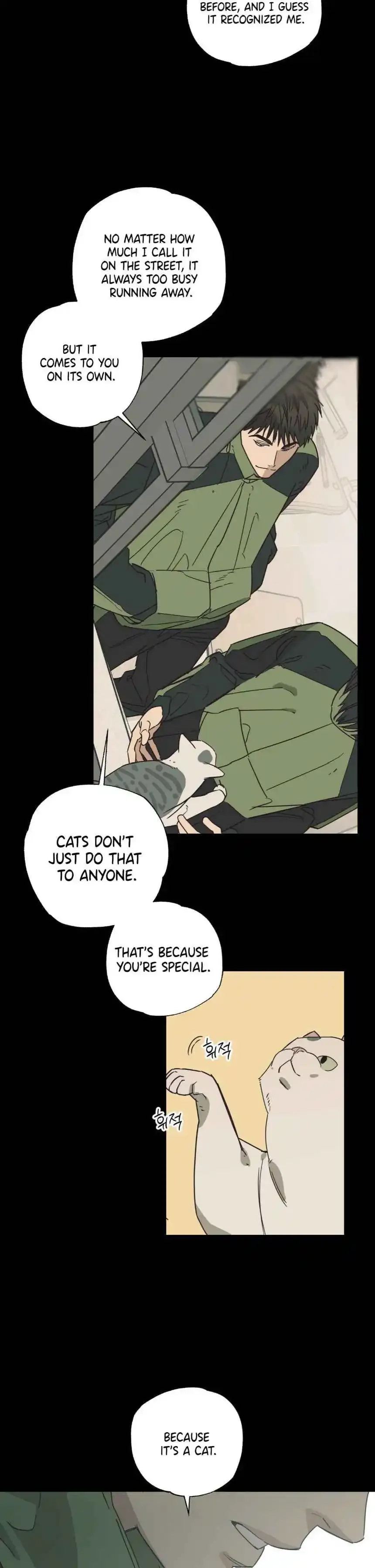 Read Purrfect Choice chapter 9 image 8 on Lezhin