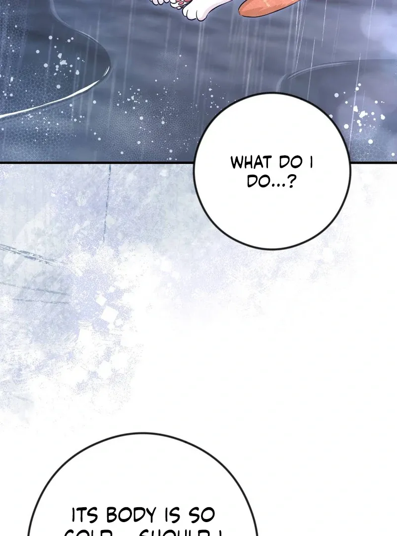 Read Put It In chapter 4 image 91 on Lezhin