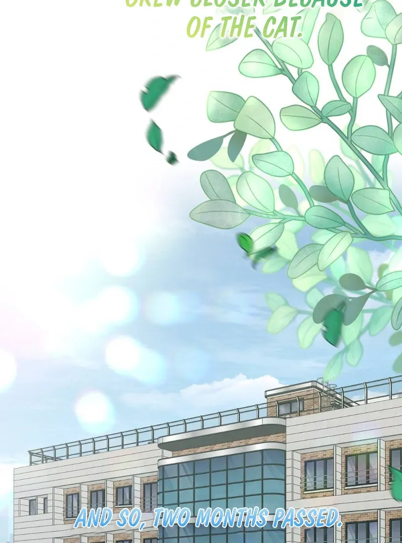 Read Put It In chapter 5 image 31 on Lezhin