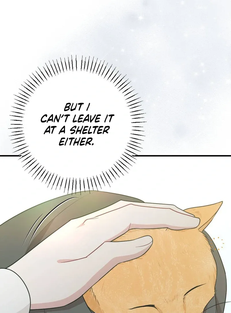 Read Put It In chapter 5 image 8 on Lezhin