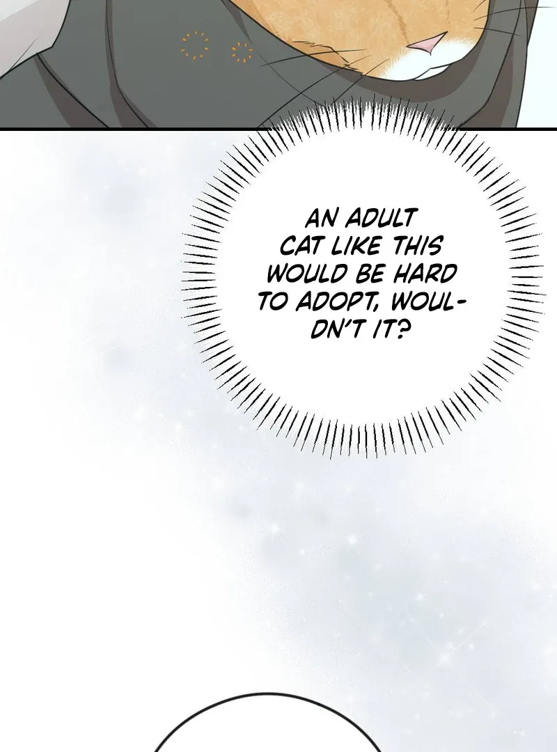 Read Put It In chapter 5 image 9 on Lezhin