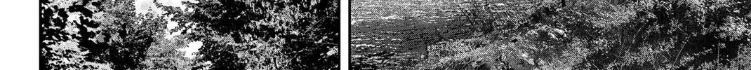 Read Q.E.D. iff chapter 41 image 35 on Lezhin