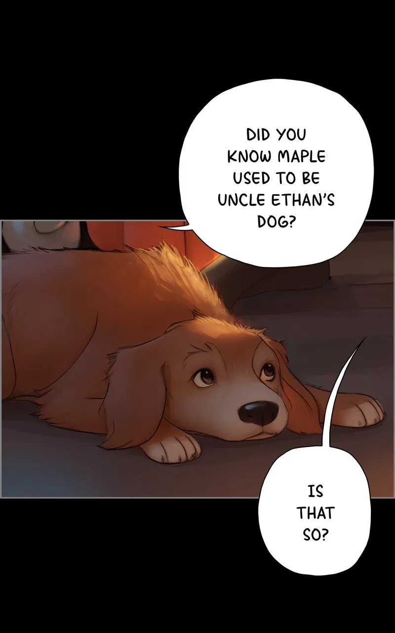Read Quantum Entanglement chapter 9 image 6 on Lezhin