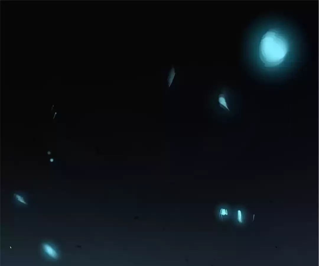 Read Quanzhi Juexing chapter 1 image 19 on Lezhin