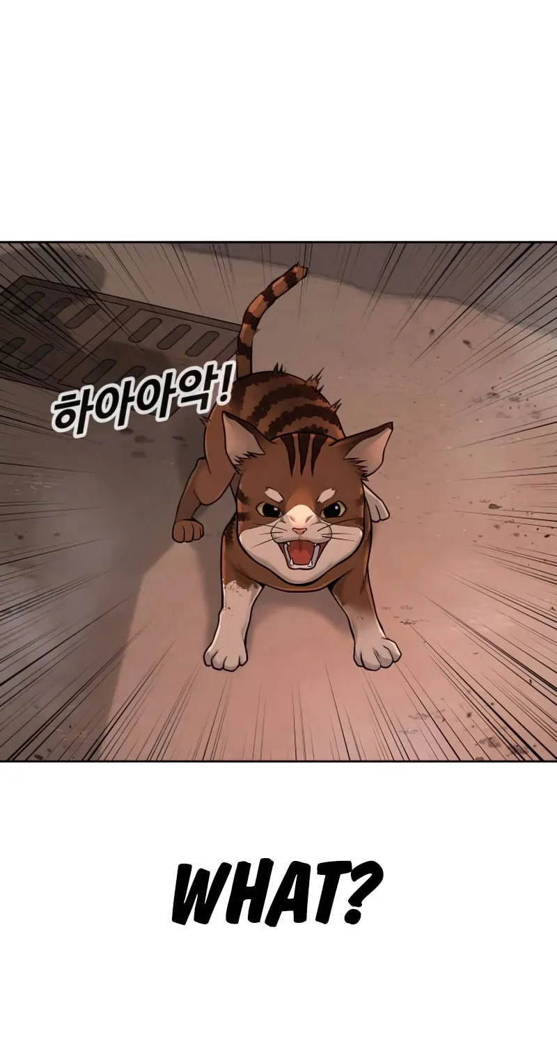 Read QUESTISM chapter 47 image 60 on Lezhin