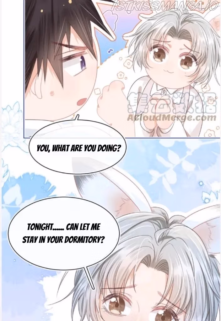 Read Rabbit and Lion chapter 101 image 40 on Lezhin