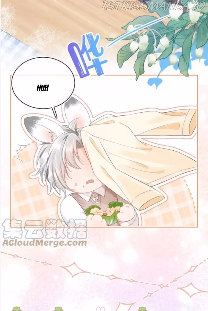 Read Rabbit and Lion chapter 102 image 4 on Lezhin
