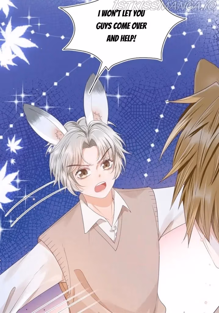 Read Rabbit and Lion chapter 105 image 12 on Lezhin