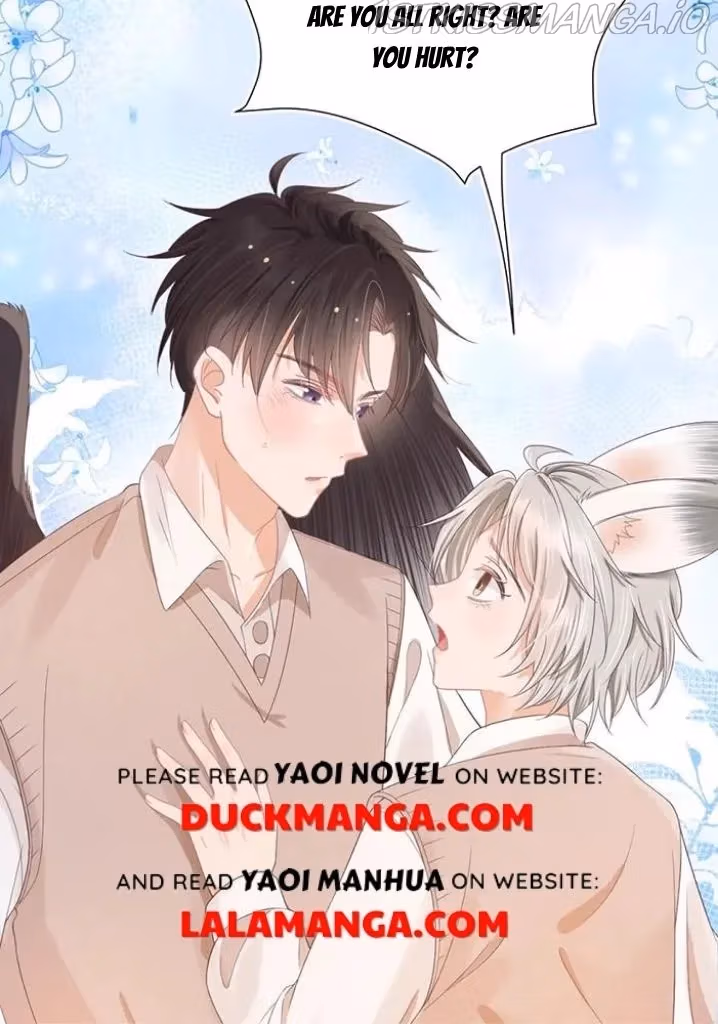 Read Rabbit and Lion chapter 105 image 47 on Lezhin