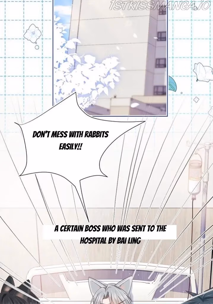 Read Rabbit and Lion chapter 105 image 67 on Lezhin