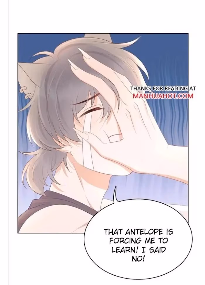 Read Rabbit and Lion chapter 11 image 13 on Lezhin