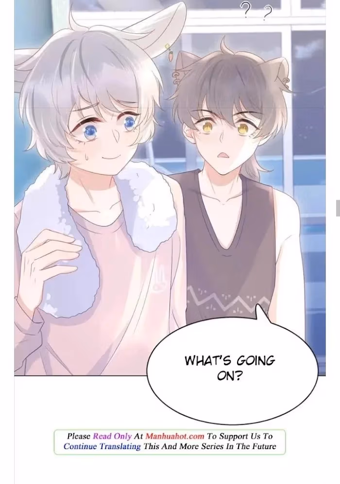 Read Rabbit and Lion chapter 11 image 19 on Lezhin