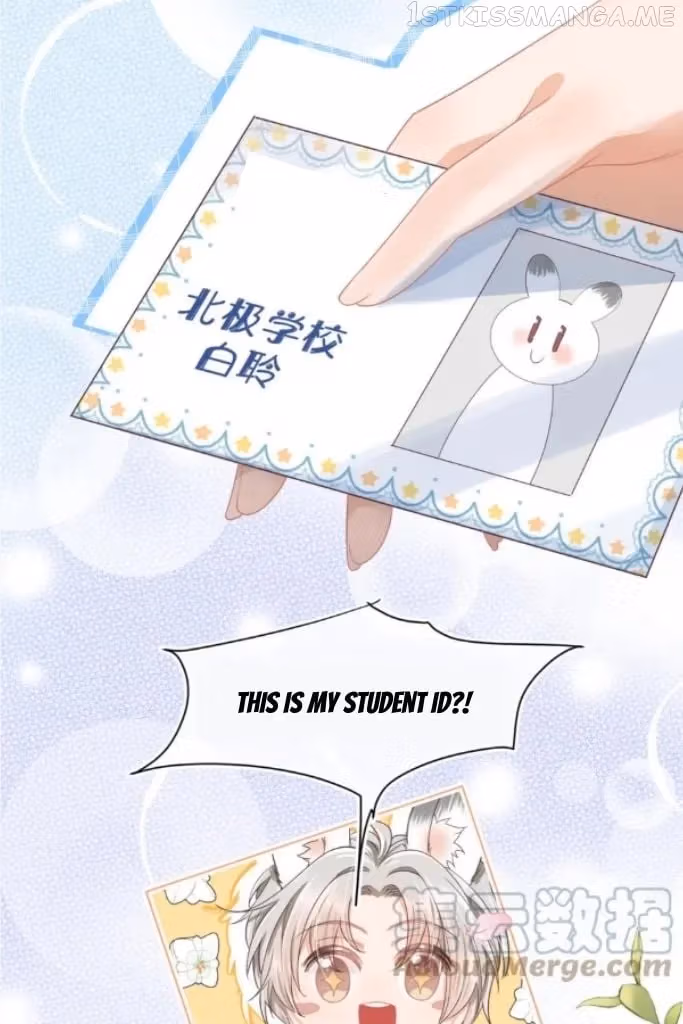 Read Rabbit and Lion chapter 115 image 8 on Lezhin