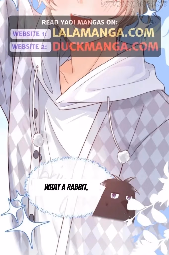 Read Rabbit and Lion chapter 119 image 8 on Lezhin