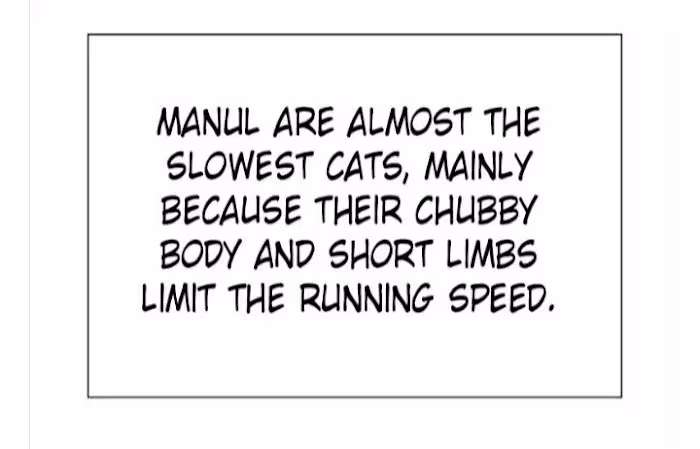 Read Rabbit and Lion chapter 12 image 54 on Lezhin