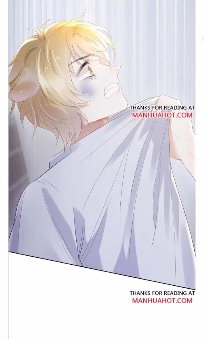 Read Rabbit and Lion chapter 3 image 10 on Lezhin