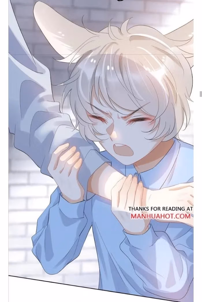 Read Rabbit and Lion chapter 3 image 20 on Lezhin