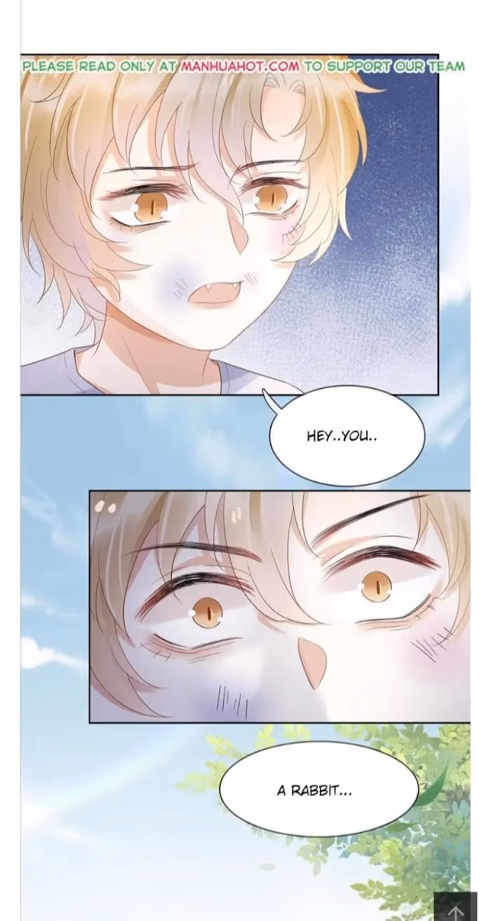 Read Rabbit and Lion chapter 3 image 25 on Lezhin