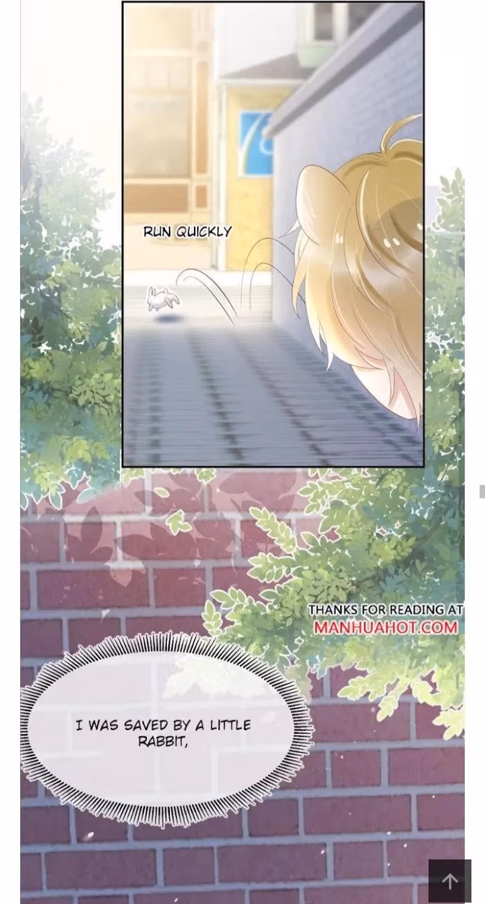 Read Rabbit and Lion chapter 3 image 43 on Lezhin