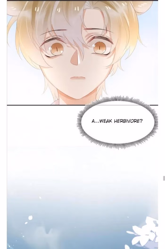 Read Rabbit and Lion chapter 3 image 45 on Lezhin