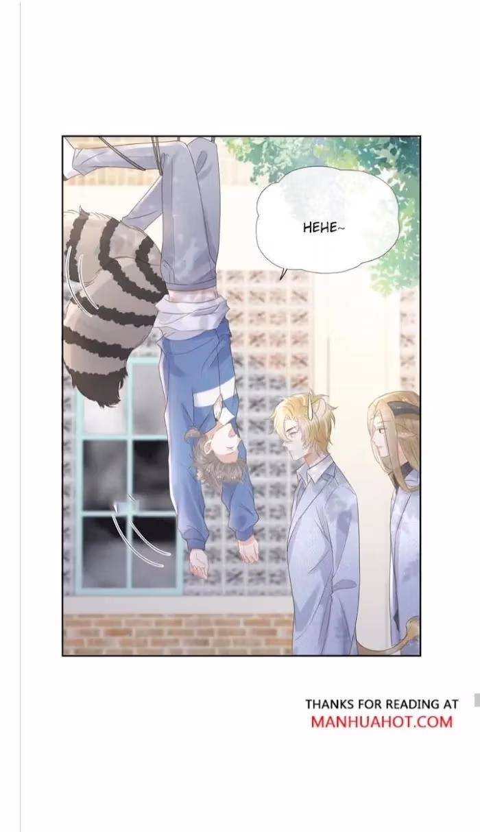Read Rabbit and Lion chapter 3 image 61 on Lezhin