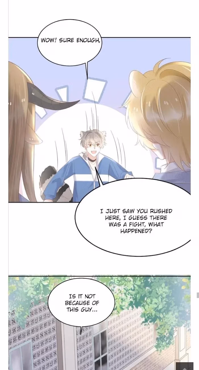 Read Rabbit and Lion chapter 3 image 62 on Lezhin