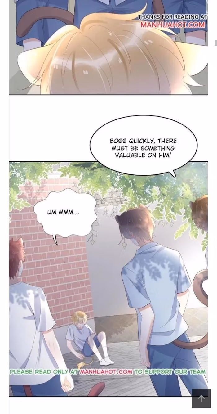 Read Rabbit and Lion chapter 3 image 8 on Lezhin