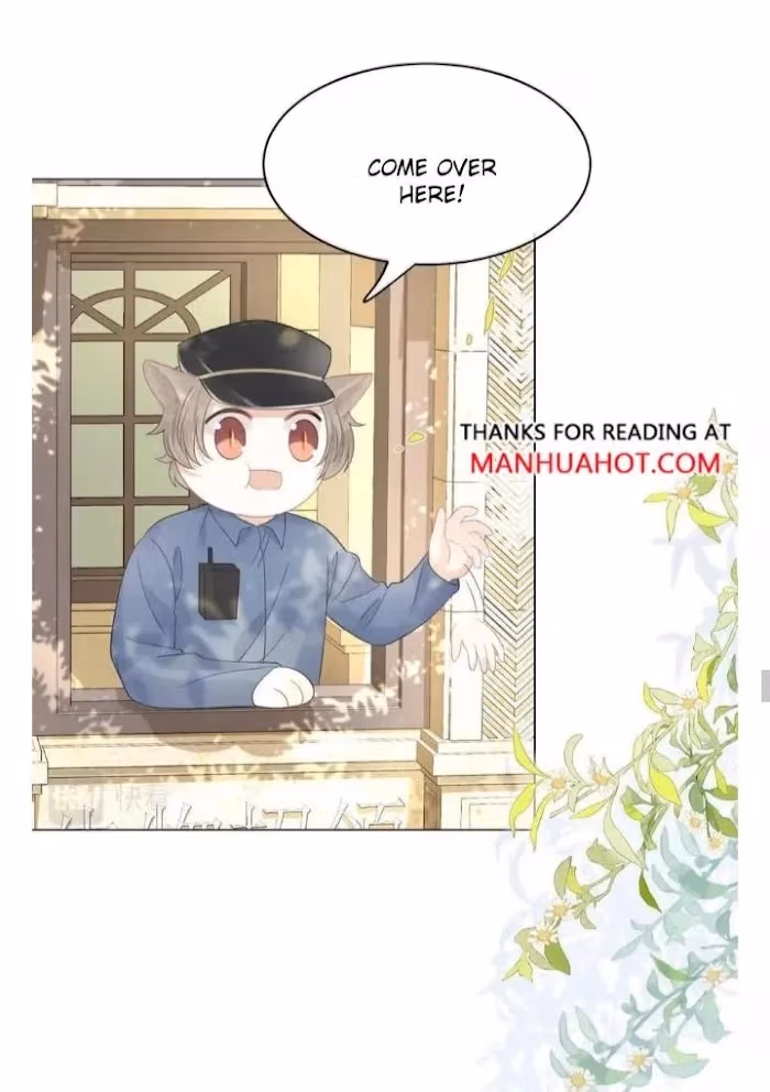 Read Rabbit and Lion chapter 34 image 27 on Lezhin