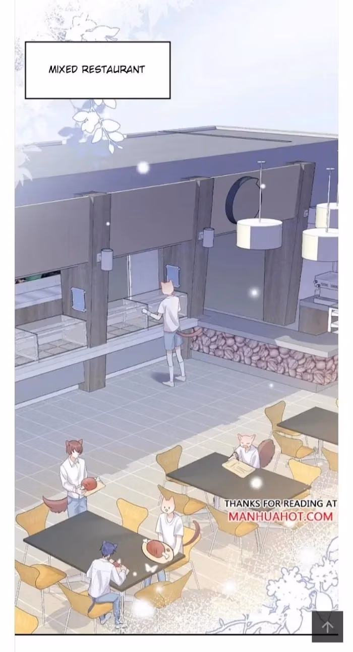 Read Rabbit and Lion chapter 4 image 3 on Lezhin