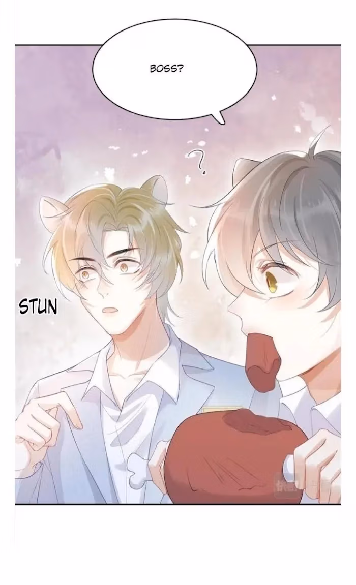 Read Rabbit and Lion chapter 4 image 9 on Lezhin
