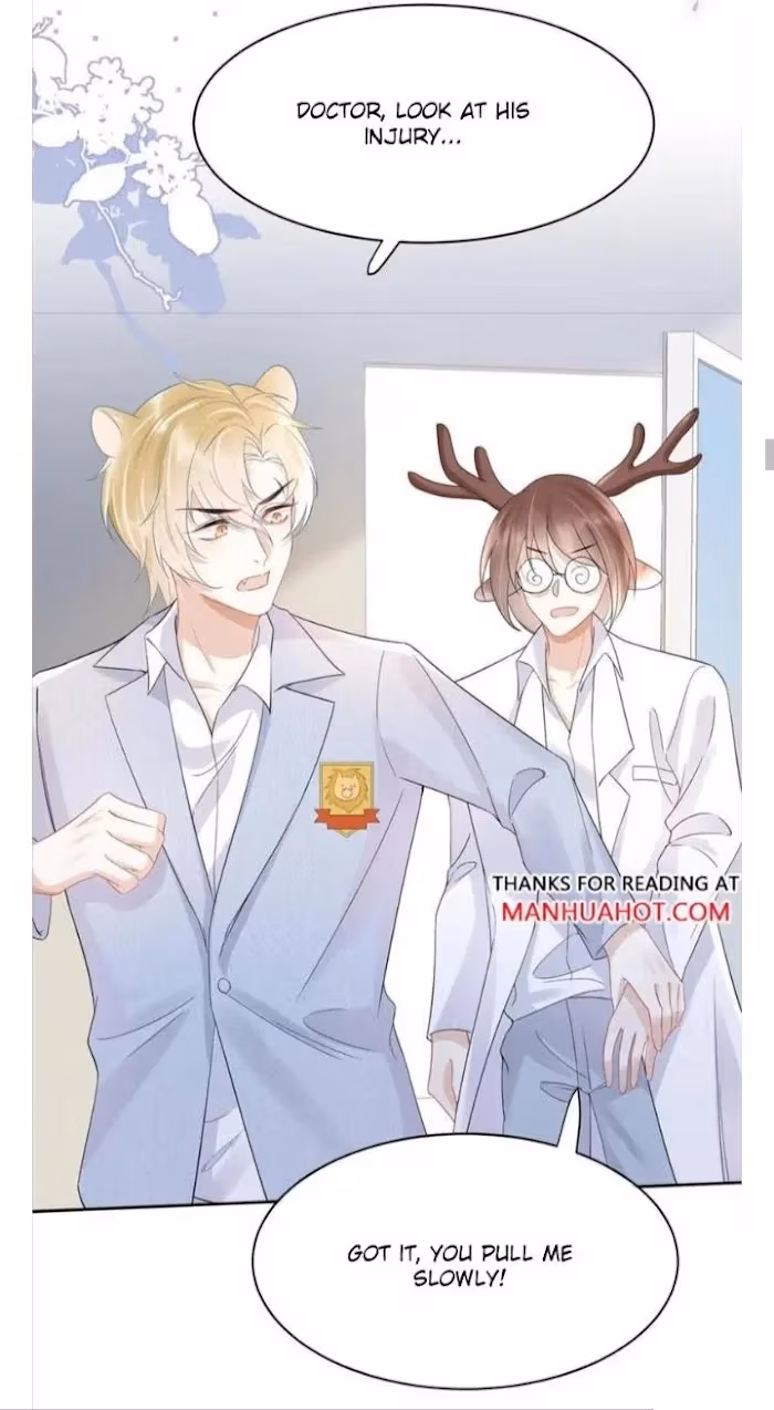 Read Rabbit and Lion chapter 5 image 13 on Lezhin