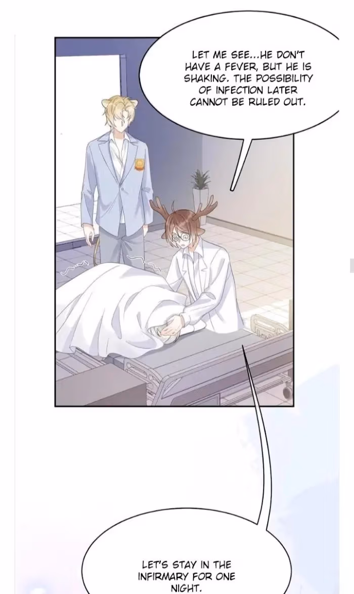 Read Rabbit and Lion chapter 5 image 16 on Lezhin